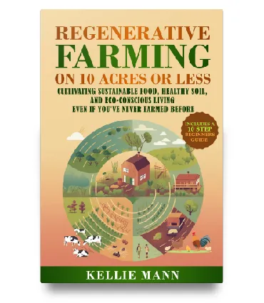 Cover Design by Artistics Design
