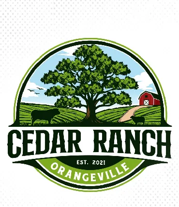 Logo Design by Artistics Design